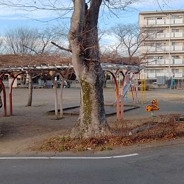 実際訪問したユーザーが直接撮影して投稿した堀米町公園菊川第2公園の写真