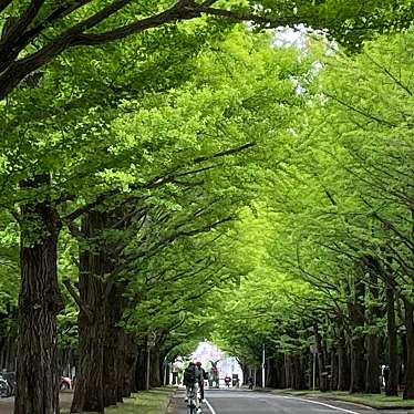 実際訪問したユーザーが直接撮影して投稿した北八条西大学北海道大学の写真