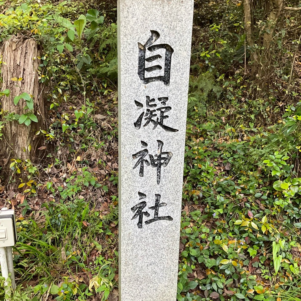 スピスピスピカさんが投稿した沼島神社のお店自凝神社/オノコロジンジャの写真