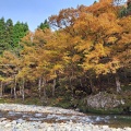 実際訪問したユーザーが直接撮影して投稿した地域名所せせらぎ街道の写真