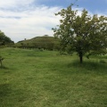 実際訪問したユーザーが直接撮影して投稿した神崎町公園神崎緑地の写真