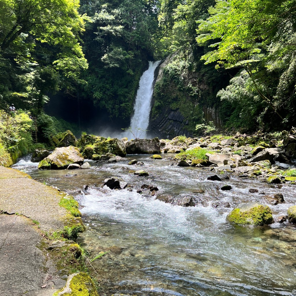 実際訪問したユーザーが直接撮影して投稿した湯ケ島滝 / 渓谷浄蓮の滝の写真