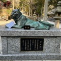 実際訪問したユーザーが直接撮影して投稿した朝熊町寺金剛證寺の写真