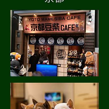 京都豆柴CAFEのundefinedに実際訪問訪問したユーザーunknownさんが新しく投稿した新着口コミの写真