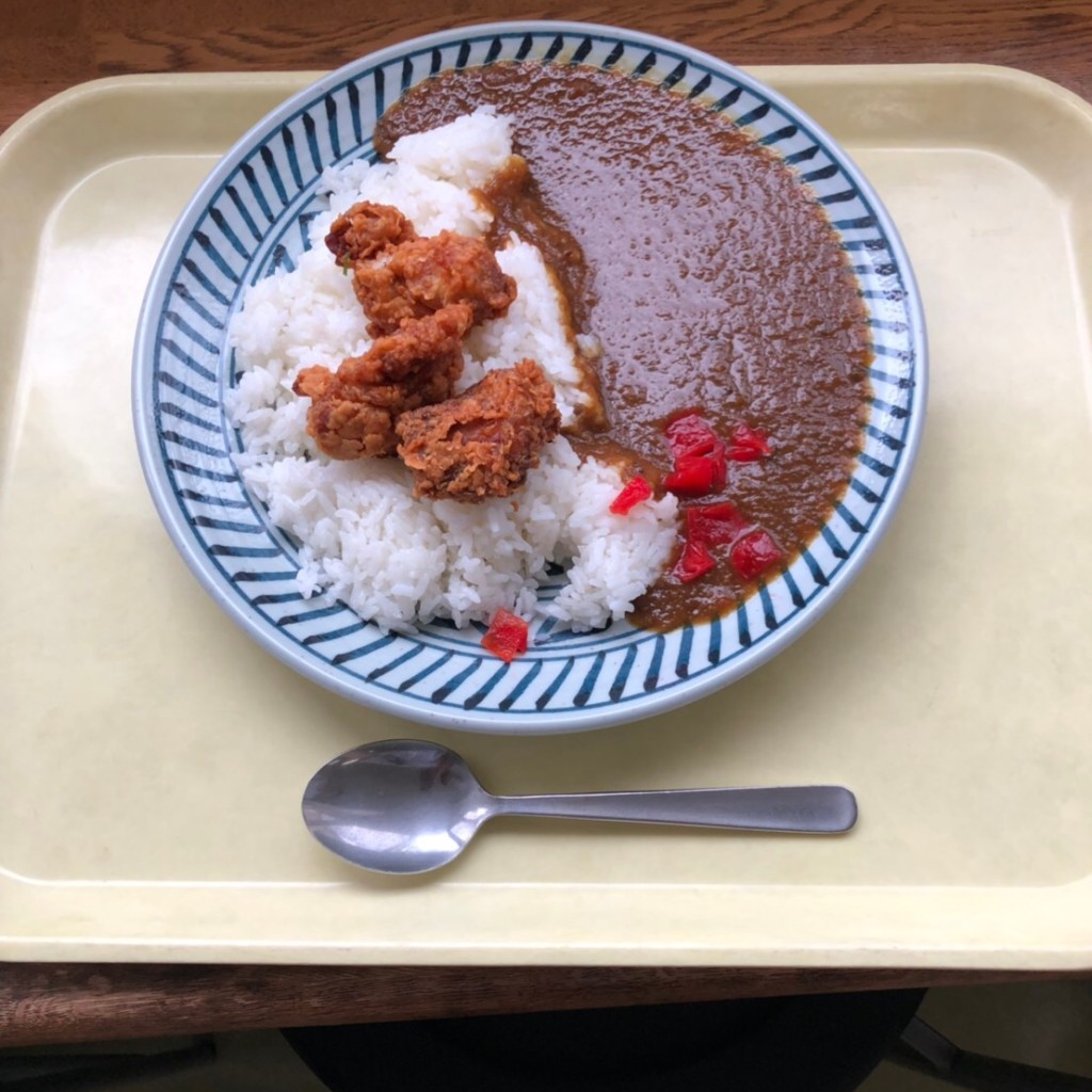 ユーザーが投稿した唐揚げカレーの写真 - 実際訪問したユーザーが直接撮影して投稿した香椎駅東カフェCafeteria Delightの写真