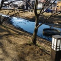 実際訪問したユーザーが直接撮影して投稿した今井町公園今井都市緑地の写真