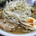 実際訪問したユーザーが直接撮影して投稿した富丘三条ラーメン / つけ麺ラーメンだるまや 富丘店の写真