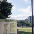 実際訪問したユーザーが直接撮影して投稿した中野公園中野四季の森公園の写真