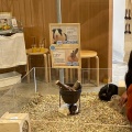 実際訪問したユーザーが直接撮影して投稿した地行浜テーマカフェ小動物カフェ Moff animal cafe MARKIS福岡ももち店の写真