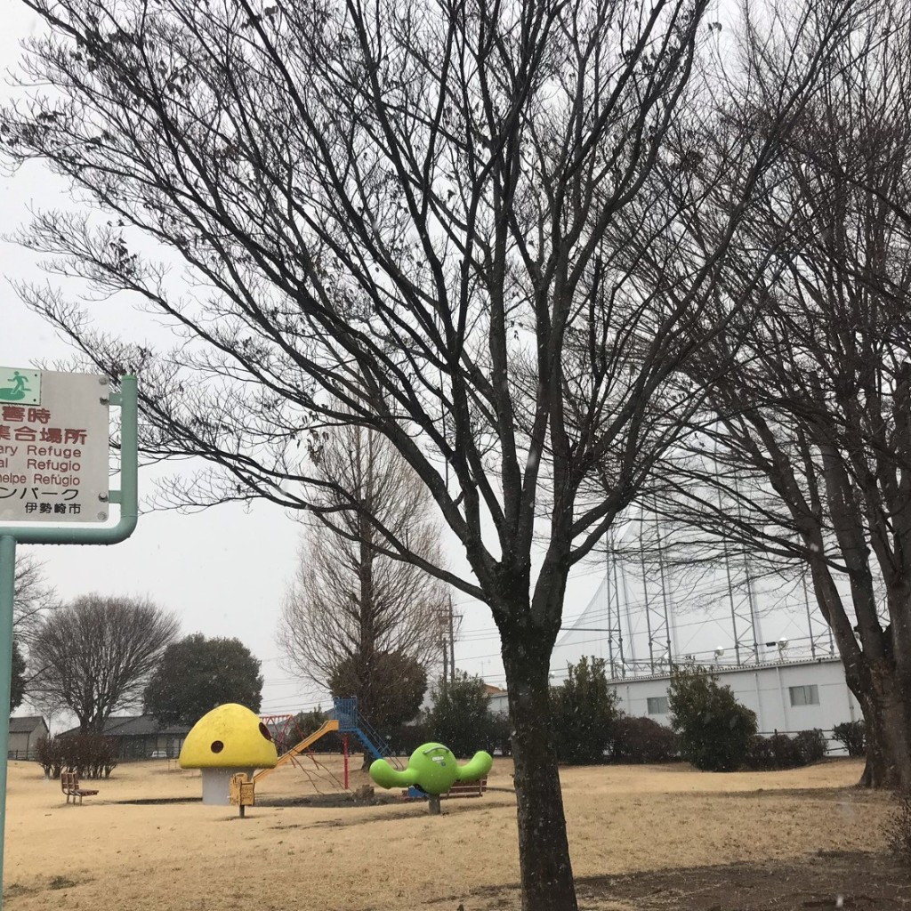 実際訪問したユーザーが直接撮影して投稿した波志江町公園グリーンパークの写真