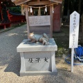 実際訪問したユーザーが直接撮影して投稿した明大寺町神社六所神社の写真