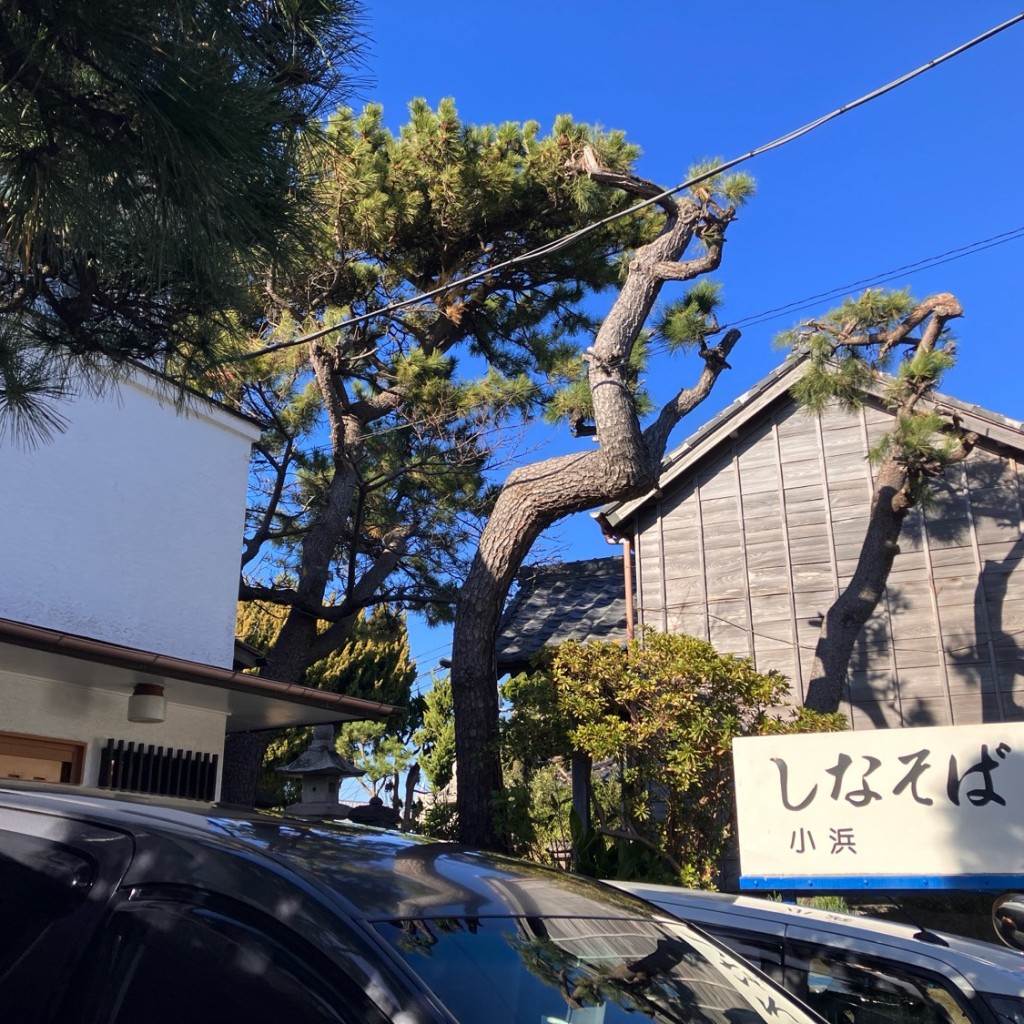 実際訪問したユーザーが直接撮影して投稿した堀内ラーメン / つけ麺しなそば小浜の写真