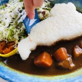 びわ湖カレー - 実際訪問したユーザーが直接撮影して投稿した下物町和食 / 日本料理にほのうみの写真のメニュー情報