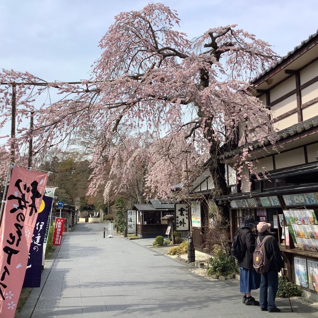 実際訪問したユーザーが直接撮影して投稿した松島寺円通院の写真