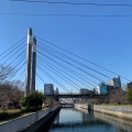 実際訪問したユーザーが直接撮影して投稿した木場橋木場公園大橋の写真