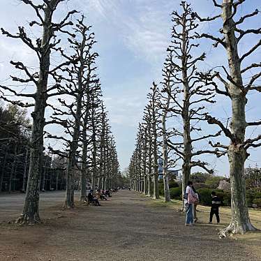 新宿御苑 風景式庭園・整形式庭園のundefinedに実際訪問訪問したユーザーunknownさんが新しく投稿した新着口コミの写真