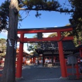 実際訪問したユーザーが直接撮影して投稿した吉田神楽岡町神社吉田神社の写真