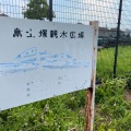 実際訪問したユーザーが直接撮影して投稿した三ツ藤公園残堀親水広場の写真