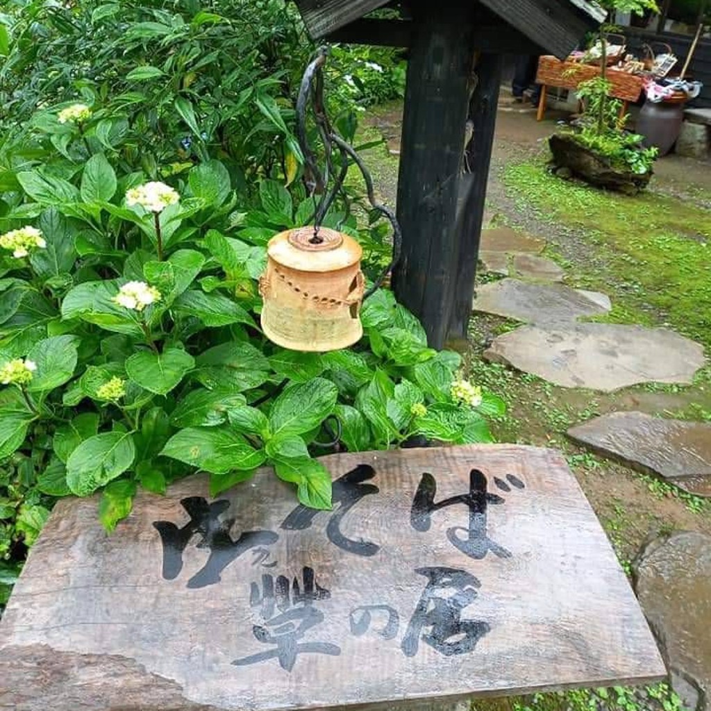 実際訪問したユーザーが直接撮影して投稿した上大川内そば東雲の里 生そば 草の居の写真