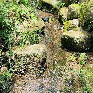 実際訪問したユーザーが直接撮影して投稿した若王子ホール蓮華寺池公園 野外音楽堂の写真