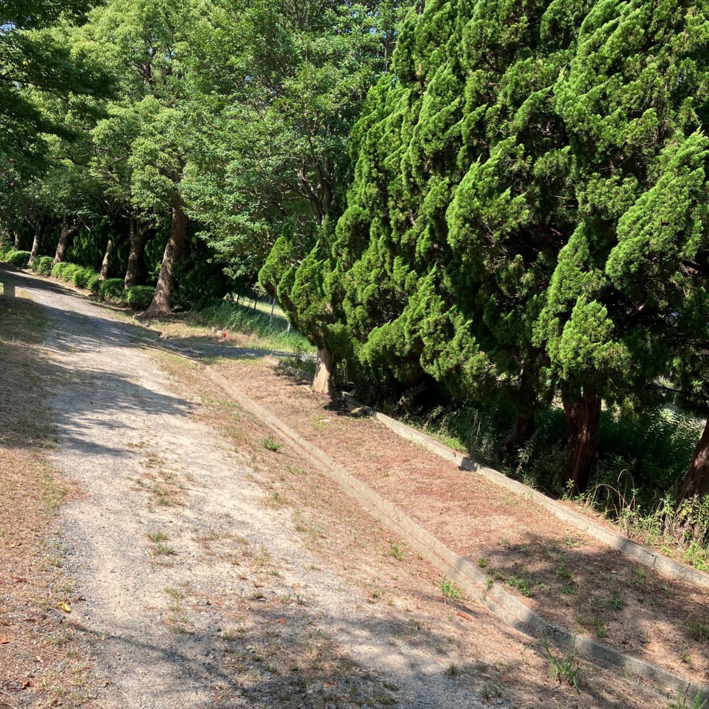 実際訪問したユーザーが直接撮影して投稿した後田町公園戦場ヶ原公園の写真