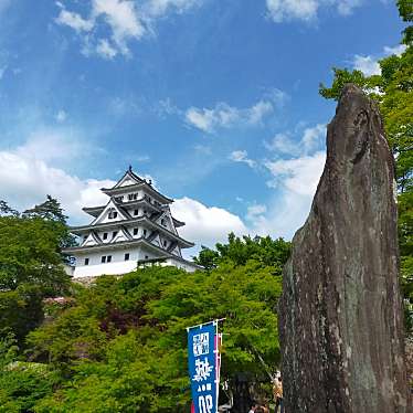 郡上八幡城のundefinedに実際訪問訪問したユーザーunknownさんが新しく投稿した新着口コミの写真