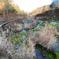 実際訪問したユーザーが直接撮影して投稿した入山公園チャツボミゴケ公園の写真