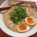 実際訪問したユーザーが直接撮影して投稿した菊水鉾町ラーメン / つけ麺濃厚京鶏白湯らーめん めんや 美鶴の写真