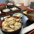 実際訪問したユーザーが直接撮影して投稿した松島丼もの漁師の海鮮丼の写真
