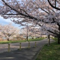 実際訪問したユーザーが直接撮影して投稿した佐藤町公園幸公園の写真