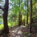 実際訪問したユーザーが直接撮影して投稿した木本町山 / 峠松本峠の写真