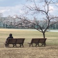 実際訪問したユーザーが直接撮影して投稿した八幡町公園武蔵野中央公園の写真