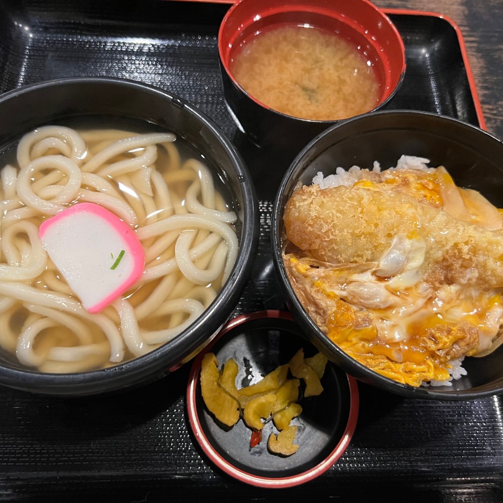 ユーザーが投稿したカツ丼の写真 - 実際訪問したユーザーが直接撮影して投稿した田村うどんこまどりうどん 田村店の写真