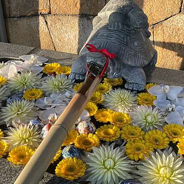 実際訪問したユーザーが直接撮影して投稿した中之町神社亀山八幡宮の写真