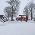 実際訪問したユーザーが直接撮影して投稿した花咲町神社北海道 護国神社の写真