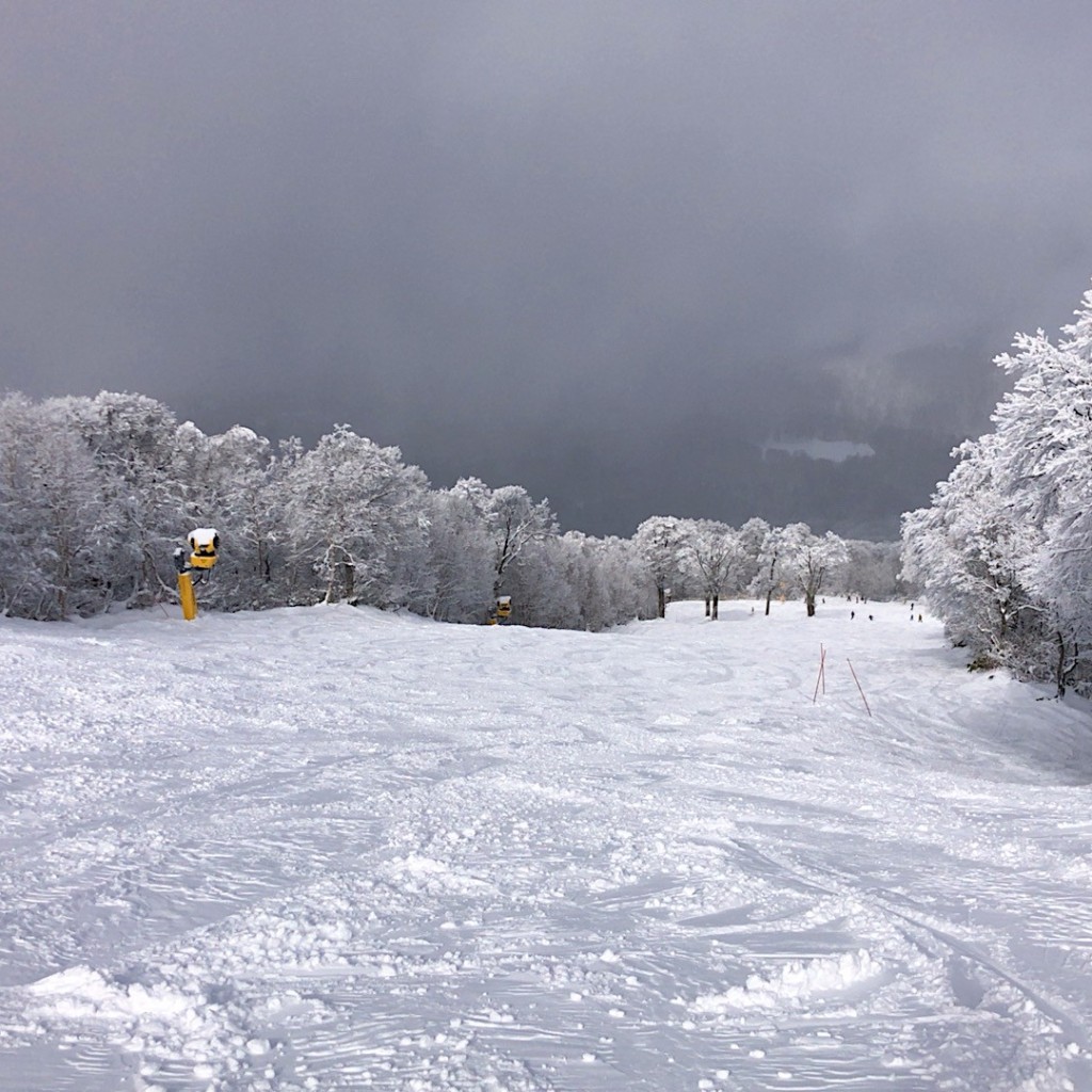 Hiro-Sakuさんが投稿した豊郷スキー場のお店野沢温泉スキー場/ノザワ オンセン スキージョウの写真
