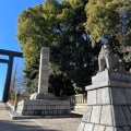 実際訪問したユーザーが直接撮影して投稿した九段北神社靖国神社の写真