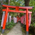 実際訪問したユーザーが直接撮影して投稿した宰府神社天開稲荷社の写真