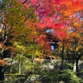 実際訪問したユーザーが直接撮影して投稿した平木寺播州清水寺の写真