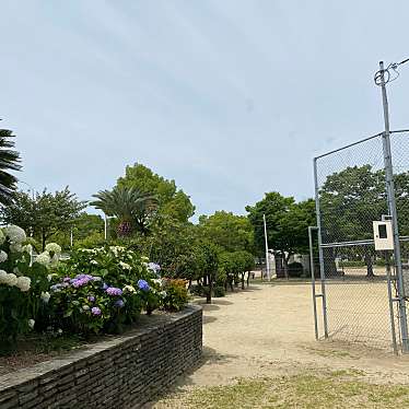 実際訪問したユーザーが直接撮影して投稿した南武庫之荘プール尼崎市立 北雁替公園市民プールの写真