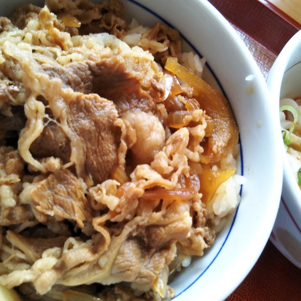 ユーザーが投稿した牛丼＆坦々うどんの写真 - 実際訪問したユーザーが直接撮影して投稿した新琴似八条丼ものなか卯 新琴似店の写真