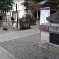 実際訪問したユーザーが直接撮影して投稿した谷保神社谷保天満宮の写真