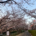 実際訪問したユーザーが直接撮影して投稿した後田町公園戦場ヶ原公園の写真