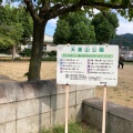 実際訪問したユーザーが直接撮影して投稿した楠町公園大倉山公園の写真