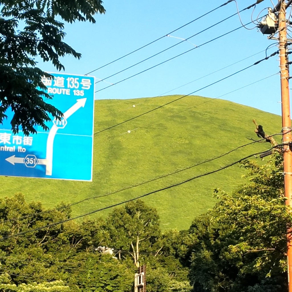 実際訪問したユーザーが直接撮影して投稿した池山 / 峠大室山の写真