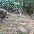 実際訪問したユーザーが直接撮影して投稿した大泊町自然名所熊野古道・大吹峠の写真