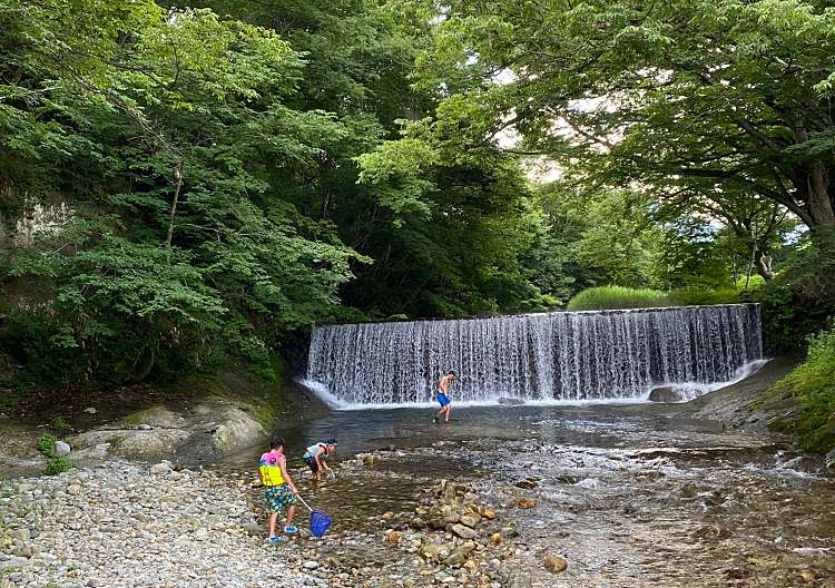 ユーザーの口コミ：面白山紅葉川渓谷/オモシロヤマモミジガワケイコク(山寺/面白山高原駅/滝 / 渓谷) by LINE PLACE