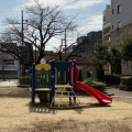 実際訪問したユーザーが直接撮影して投稿した東田辺公園東田辺公園の写真