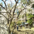 実際訪問したユーザーが直接撮影して投稿した見祢山神社土津神社の写真