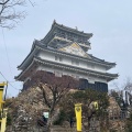 実際訪問したユーザーが直接撮影して投稿した城 / 城跡岐阜城の写真